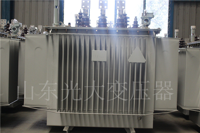 辽阳S20-1000KVA油浸式变